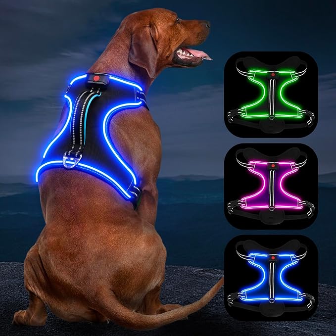 LED Dog Harness, No Pull, Light Up, Rechargeable, Blue, Large