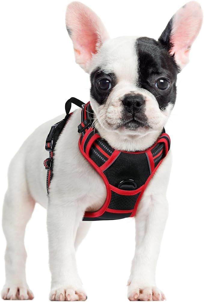 rabbitgoo Dog Harness No Pull with 2 Leash Clips, Adjustable Soft Padded, Reflective Oxford No Choke Pet Vest with Easy Control Handle for Small Dogs, Black & Red, S