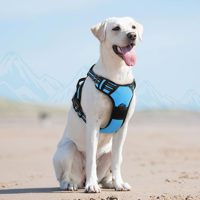 Eagloo Dog Harness for Large Dogs, No Pull Service Vest with Reflective Strips and Control Handle, Adjustable and Comfortable for Easy Walking, No Choke Pet Harness with 2 Metal Rings, Sky Blue, L