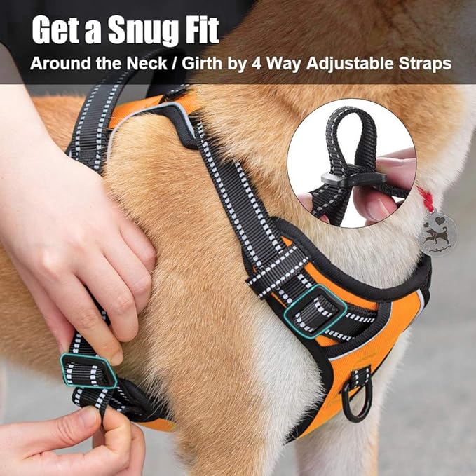 PoyPet No Pull Dog Harness, Reflective Comfortable Vest Harness with Front & Back 2 Leash Attachments and Easy Control Handle Adjustable Soft Padded Pet Vest for Small to Large Dogs (Orange,XL)
