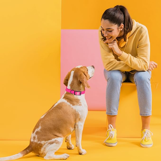 Dogline Biothane Waterproof Dog Collar Strong Coated Nylon Webbing with Black Hardware Odor- Proof for Easy Care Easy to Clean High Performance Fits Small Medium or Large Dogs, Passionfruit Pink