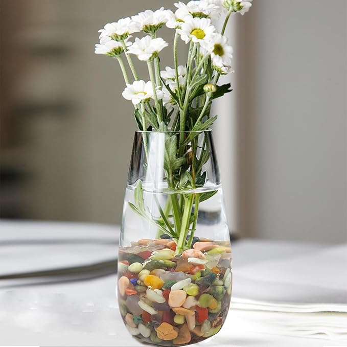 2 Pounds Pebbles for Plants, 3/8 Inch Succulent Rocks, Decorative Polished River Rocks for Plants Indoor, Vases, Cactus Planters, Bird Bath, Craft and Fairy Garden