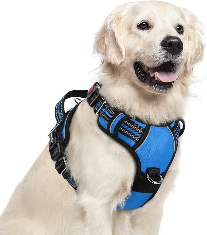 rabbitgoo Dog Harness for Large Dogs, No Pull Pet Vest with 3 Buckles, Adjustable Soft Padded Pet Harness with Easy Control Handle and Reflective Strips, Blue, XL