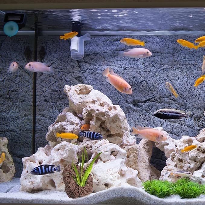 Housoutil Lava Rock Aquarium, 6PCS Aquarium Volcanic Stone Plant Fixer Ornaments, Double-Hole Fish Tank Rocks Ornament for Aquascaping, Fish Tank, Terrarium and Landscape Design