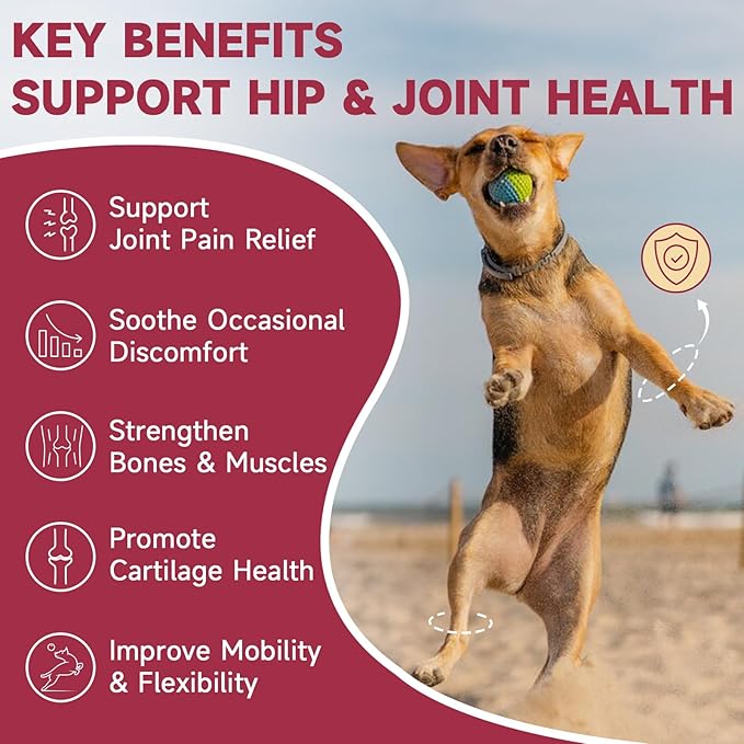 Glucosamine for Dogs - Joint Supplement for Dogs with Chondroitin, MSM, Omega 3, Hemp, Turmeric for Dog Joint Pain Relief, Dog Joint Supplement with Calcium Support Cartilage & Bone Health, 180 Chews