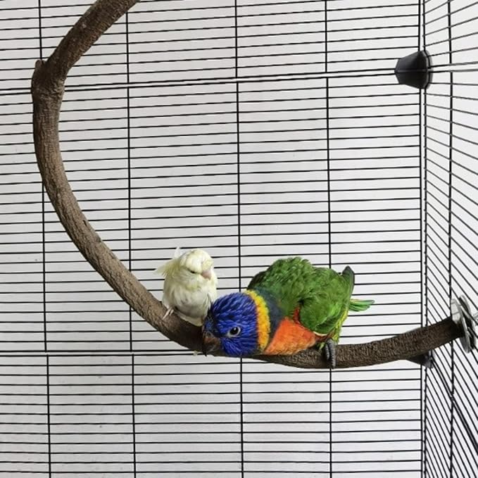 Parrot Perch Stand Bird Cage Stand Pole Natural Wild Grape Stick Grinding Paw Cage Accessories for Parakeet Cockatiels Budgies Conure Lovebirds Platform (U-Shaped)