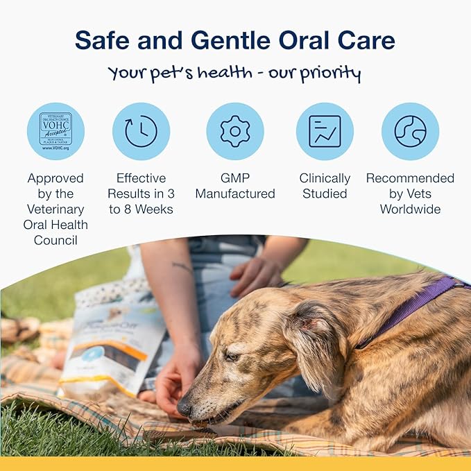 ProDen PlaqueOff System Dental Care Bones - Dog Teeth Cleaning Bones for Oral Hygiene -Medium/Large Canine Formula - Bacon Flavor -17 oz(Packaging May Vary)