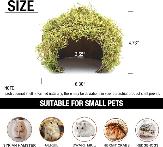 Hamster Hideout - Large, Natural Moss, Handcrafted for Syrian Hamsters, Rats & Guinea Pigs, Safe & Eco-Friendly