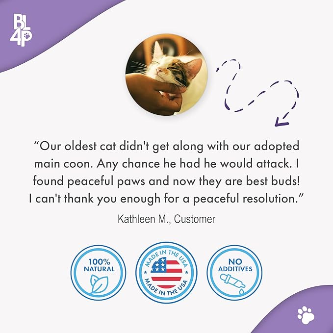 Anti Aggression for Cats Calming Remedy, A Natural Diffuser and Cat Calming Aid for Stress, Spiteful Spraying, Scratching & Territorial Behavior, Non-Drowsy, 400 Odorless, Tasteless Pills