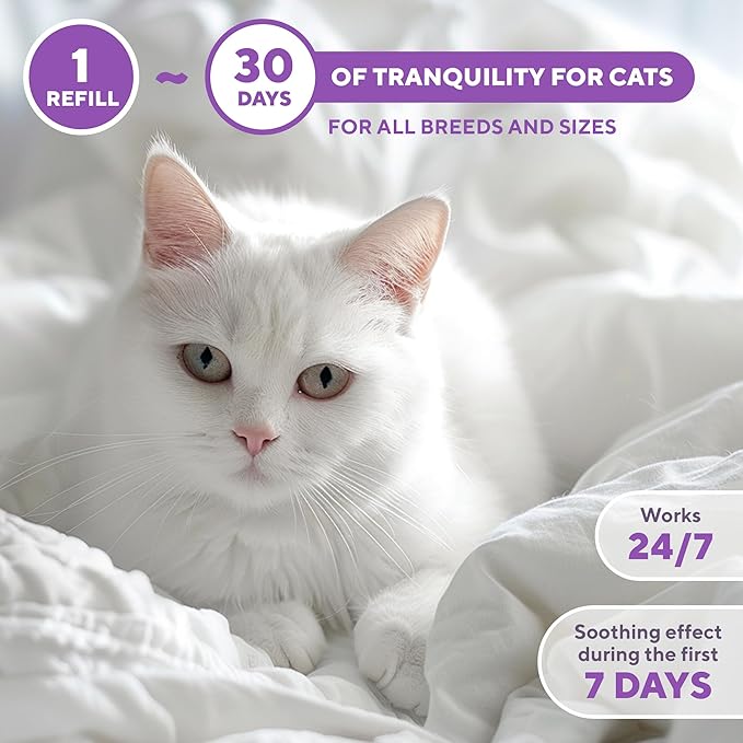 Beloved Pets Cat Calming Diffuser & Pet Anti Anxiety Products - Feline Calm Pheromones Plug in & Cats Stress Relief Comfort Helps with Pee, New Zone, Aggression (2 Pack (2 Diffusers + 2 Refills))