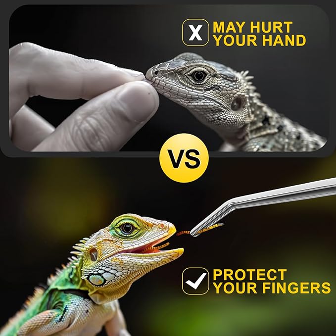 2pcs Reptile Feeding Tongs, Feeding Spoon, Stainless Steel Aquarium Feeding Tools, Curved Long Tweezers 10.6 in, Long Spoon 10 in (Coffee Spoon) for Feeding Lizards, Bearded Dragons and More.