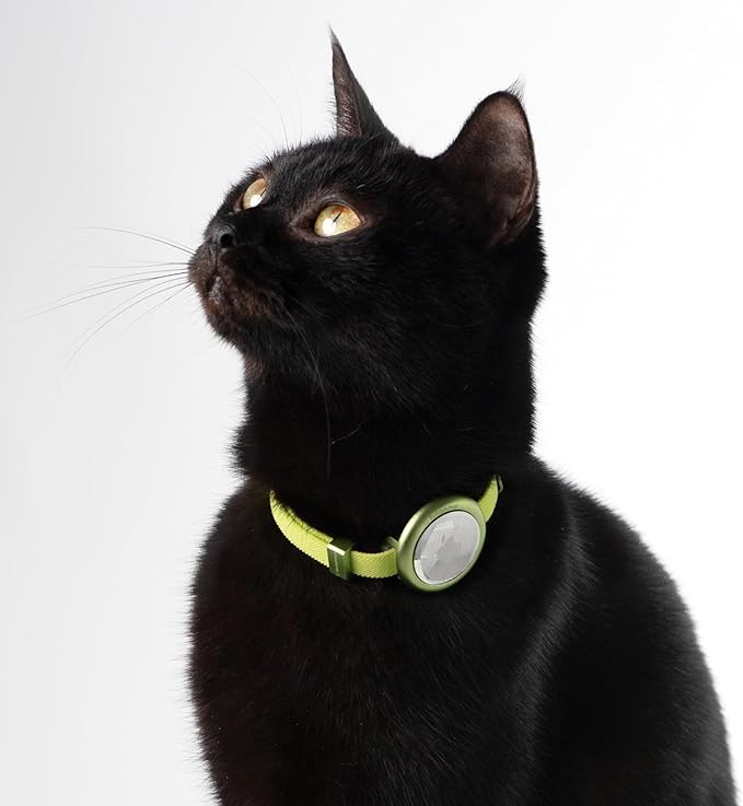 Safety Cat Collar Pro - U.S. IDA Gold Awarding Design, Elastic Quick Release Cat Collar with Buckle Non Breakaway - Lightweight for Kitten All Small Large Cats (Vivid Red, S 5.9-11.8")