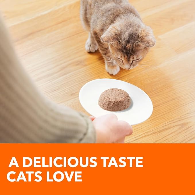 IAMS Perfect Portions Healthy Kitten Grain Free Wet Cat Food Pate, Chicken Recipe, 2.6 oz. Easy Peel Twin-Pack Trays (24 Count, 48 Servings)