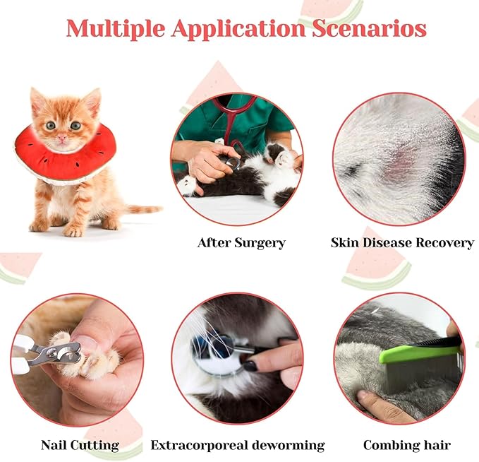 Kitten Cones After Surgery 0-6 Months, Donut Extra Small Kitten Cone Collar Soft to Stop Licking Neck, Elizabethan e Collar for Recovery, xs Small Cat Cone Spray, Pet Soft Cone for Cats