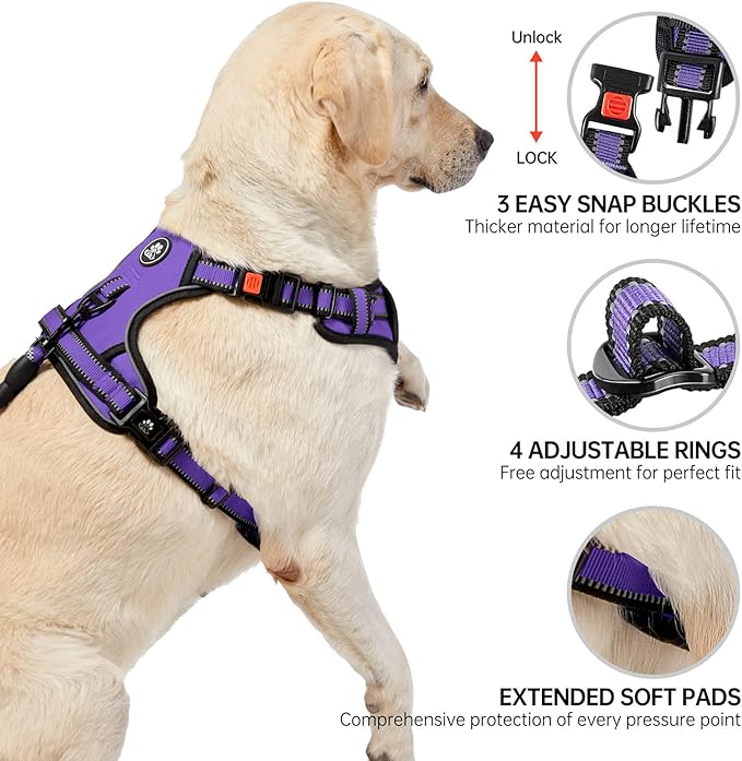 NESTROAD No Pull Dog Harness,Adjustable Oxford Dog Vest Harness with Leash,Reflective No-Choke Pet Harness with Easy Control Soft Handle for Small Dogs(Small,Purple)