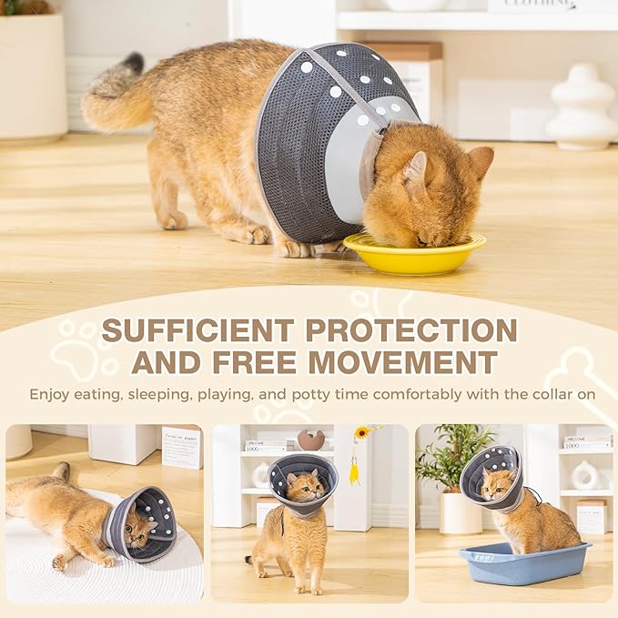 Avont Cat Cone Collar Soft to Stop Licking, Adjustable Foldable Lightweight Kitten Recovery Collar After Surgery for Small Dogs, Elizabeth Cone of Shame Alternative -Darkgrey(S)