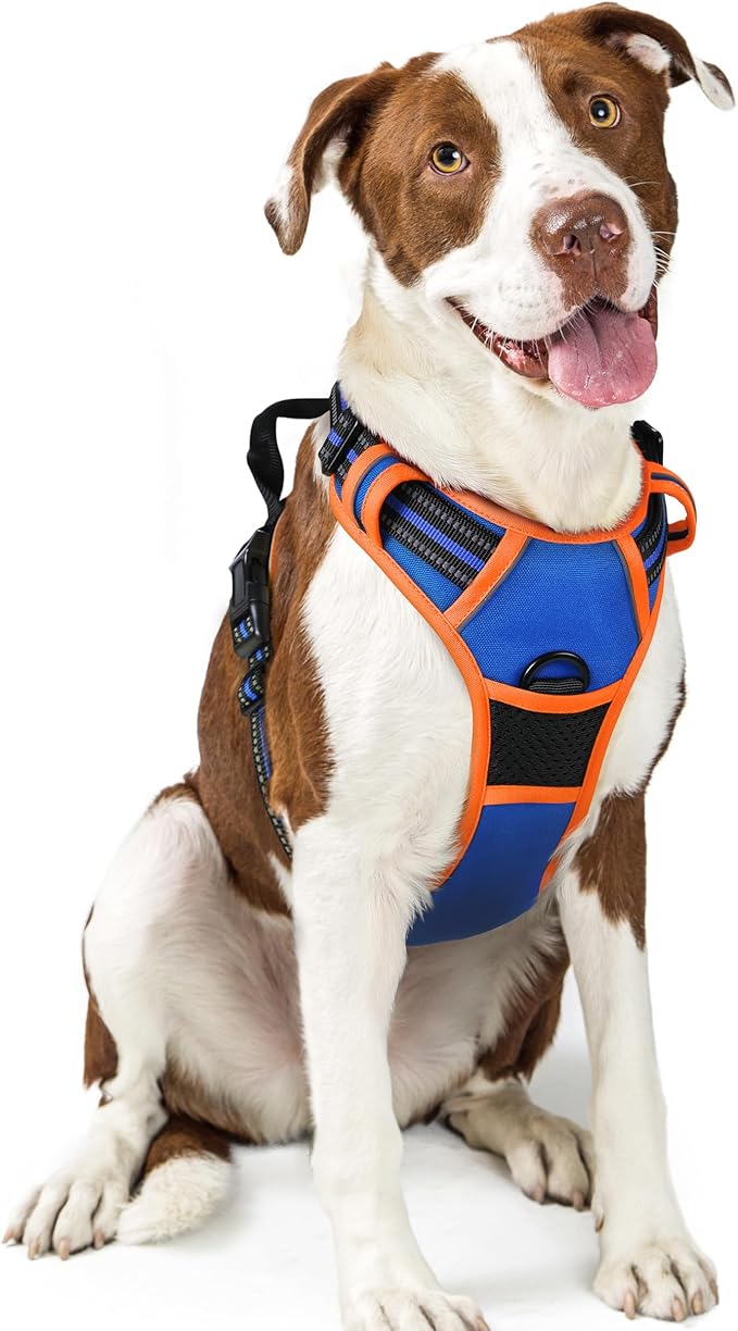 rabbitgoo Dog Harness No Pull with 2 Leash Clips, Adjustable Soft Padded, Reflective Oxford No Choke Pet Vest with Easy Control Handle for Large Dogs, Blue & Orange, L