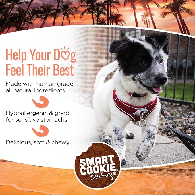 Smart Cookie All Natural Dog Treats - Shrimp & Coconut - Training Treats for Dogs with Allergies, Sensitive Stomachs - Soft Dog Treats, Chewy, Grain Free, Human-Grade, Made in USA - 5oz, Pack of 3