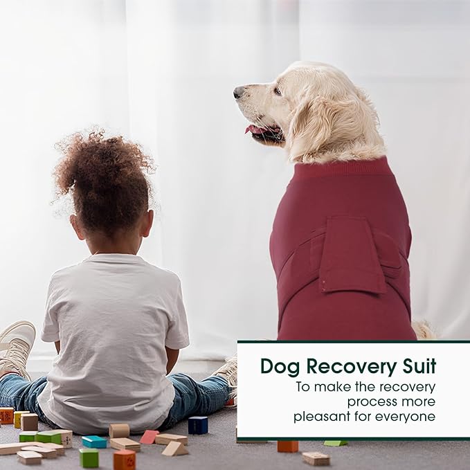 Kuoser Dog Surgery Recovery Suit, Recovery Suit for Female Male Dogs, Dog Onesie After Surgery Spay Neuter, Anti-Licking Pet Surgical Recovery Snugly Suit, Bodysuit for Abdominal Wounds Skin Disease