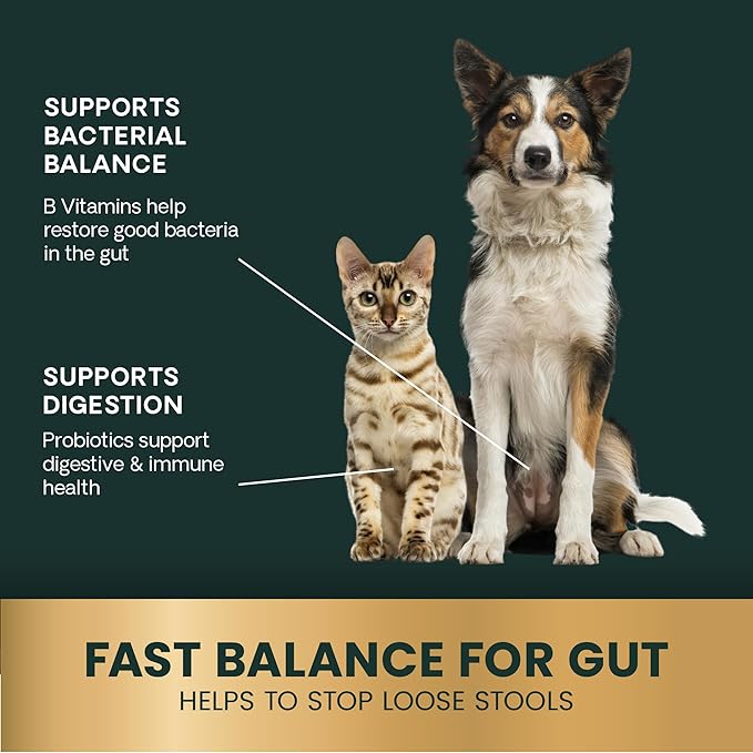 VetriScience Quick Action Diarrhea Aid Paste with Probiotics & B Vitamins, Fast Balance Digestive Support Supplement for Dogs and Cats, Gut Balancer, Help Stop Diarrhea, Unflavored, 35 cc