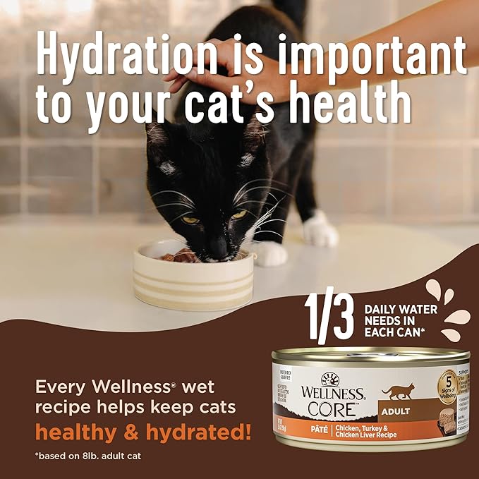 Wellness CORE+ Indoor Pate Adult Wet Cat Food, Natural, Protein-Rich, Grain Free, 3 Ounce, 12 Pack (Chicken & Chicken Liver)