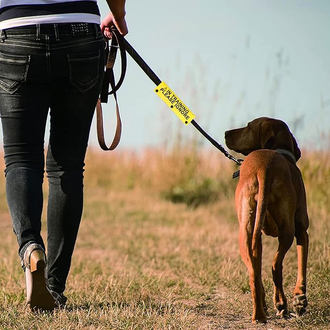 Funny Dog Leash Sleeve in Training Please Ignore Dog Leash Wrap Sleeve Alert Tag Pet Birthday Gift (Training Please Ignore-YE Sleeve)