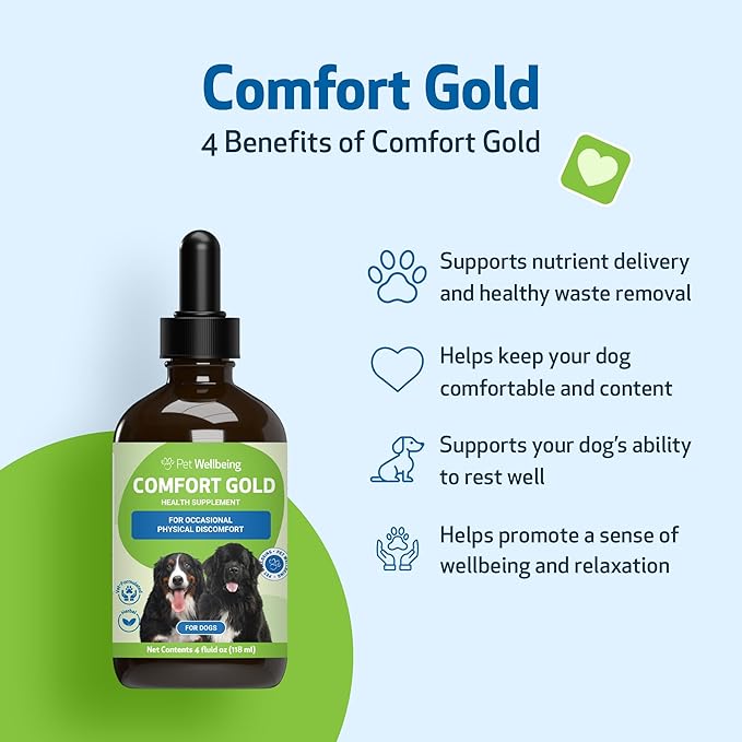 Pet Wellbeing Comfort Gold for Dogs - Supports Canine Physical Comfort, Healthy Circulation, Corydalis, Turmeric - Veterinarian-Formulated Herbal Supplement 4 oz (118 ml)