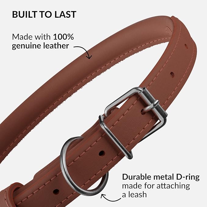 CollarDirect Rolled Leather Dog Collar, Soft Padded Round Puppy Collar, Handmade Genuine Leather Collar Dog Small Large Cat Collars 13 Colors (15-19 Inch, Cinnamon Smooth)