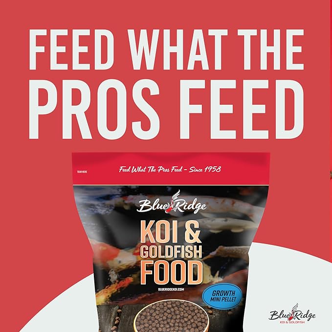 Blue Ridge Koi Fish Food 5lb - Koi Food Mini Growth Formula, Goldfish Food, Premium Fish Food for Ponds, Ponds Fish Food, Floating Pond Pellets