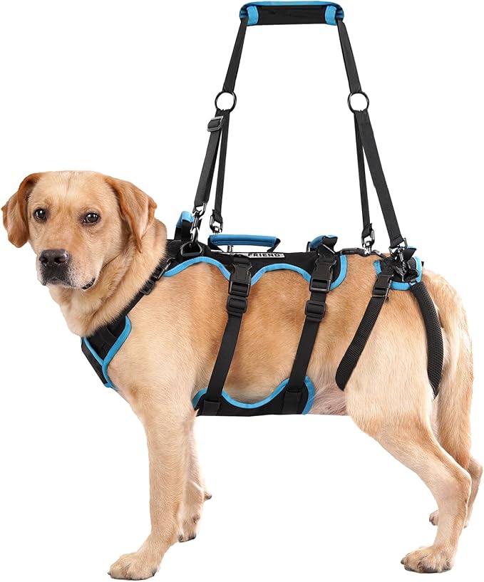 Dog Lift Harness for Large Male Dogs, 2-in-1, Back Leg Support & Mobility Assistance for Senior Dogs, Post-Surgery Recovery Sling(Black, Large)