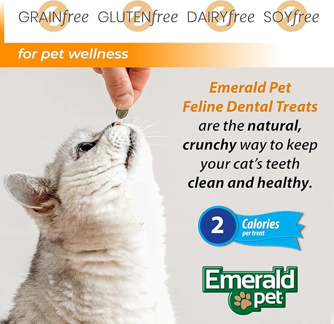 Feline Dental Treats — Tasty and Crunchy Cat Dental Treats Grain Free — Natural Dental Treats to Clean Cat Teeth, Freshen Cat Breath, and Reduce Plaque and Tartar Buildup — Catnip Treats, 11 oz