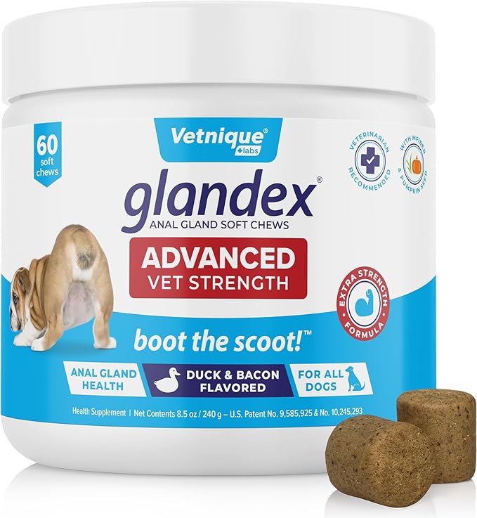 Vetnique Glandex Anal Gland Soft Chew Treats with Pumpkin for Dogs Digestive Enzymes, Probiotics Fiber Supplement for Dogs Boot The Scoot (Advanced Strength Duck/Bacon Chews (Vegetarian), 60 Ct)