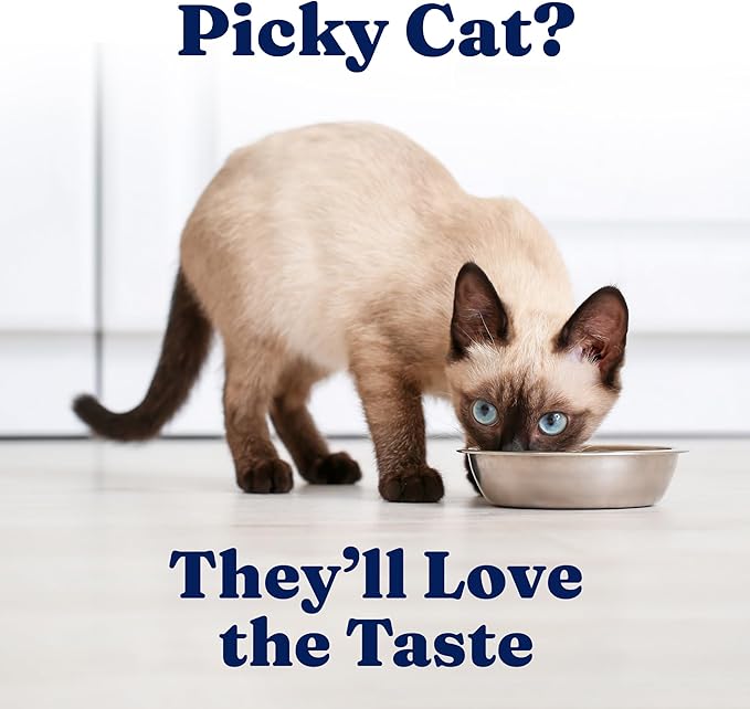 Solid Gold Wet Cat Food Shreds in Gravy - Healthy Canned Cat Food Made w/Real Chicken & Duck Shreds, Vitamins & Minerals - Grain Free & Gluten Free Canned Meals for Cats & Kittens - 24ct/3oz Can