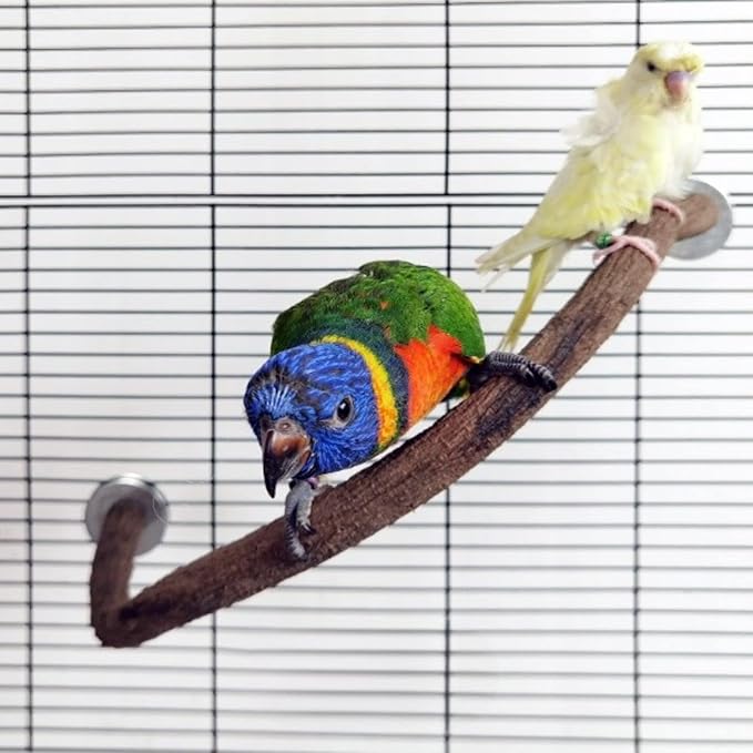 Parrot Perch Stand Bird Cage Stand Pole Natural Wild Grape Stick Grinding Paw Cage Accessories for Parakeet Cockatiels Budgies Conure Lovebirds Platform (U-Shaped)