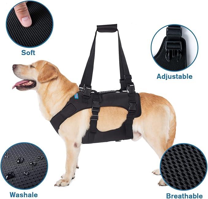 Dog Lift Harness, Rehabilitation Lifts Vest for Dogs, Support & Recovery Sling, Adjustable Breathable Lifting Straps for Old, Joint Injuries, Arthritis, Paralysis Dogs Walk (S, Black)