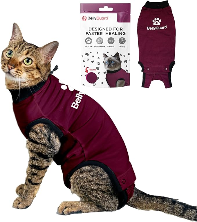 Bellyguard Cat Recovery Suit Female and Male, Comfy Onesie After Surgery, Kitten Clothes for Post-Op Care, Neuter and Spay Healing Outfits for Cats Only – Comfortable Kitten and Adult Cone Alternative