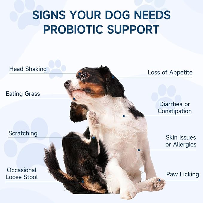 Dog Probiotic for Dogs, 200 Soft Treats Dog Probiotics for Digestive Health & Immune System, Probiotic Chews for Dogs, Support Gut Health|Itchy Skin|Diarrhea|Gas Relief Treatment