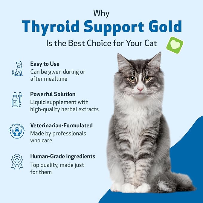 Pet Wellbeing Thyroid Support Gold for Cats - Supports Healthy Thyroid Gland Function in Cats, Normal Metabolism, Bugleweed, Lemon Balm - Veterinarian-Formulated Herbal Supplement 4 fl oz (118 ml)