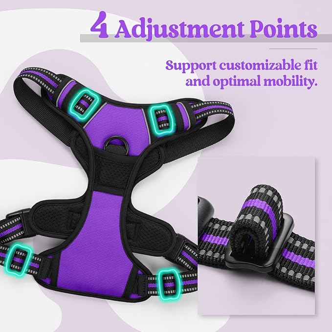 rabbitgoo Dog Harness No Pull with 2 Leash Clips, Adjustable Soft Padded, Reflective Oxford No Choke Pet Vest with Easy Control Handle for Large Dogs, Purple, XL