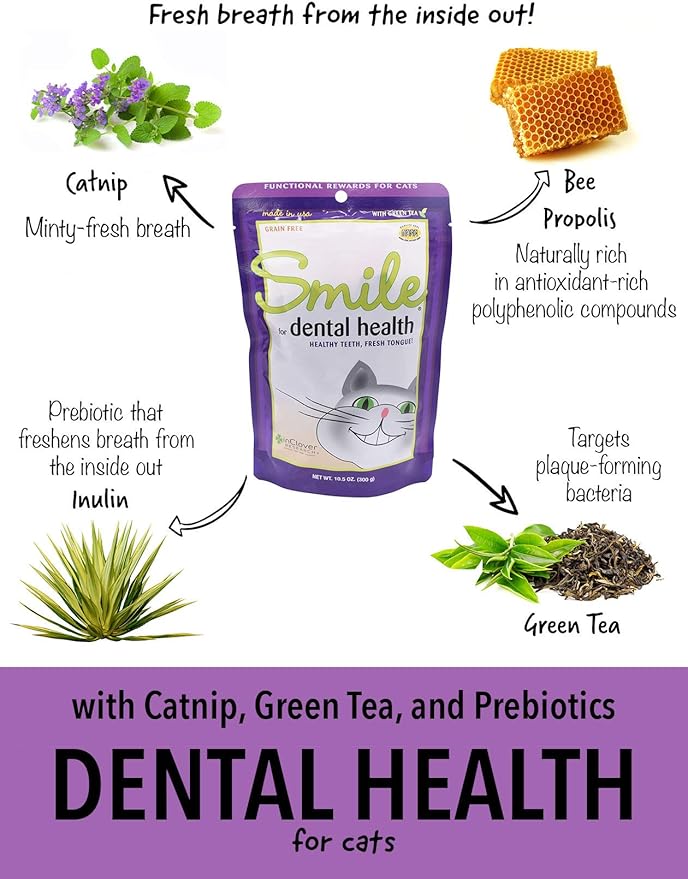 Smile Daily Dental Health Soft Chews for Cats, Support Healthy Teeth and Fresh Tongue with Catnip and Green Tea, Prebiotics, and Chlorophyll for Fresh Breath