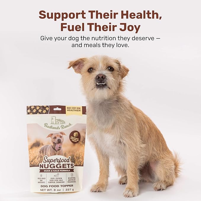 Superfood Nuggets- Premium, Freeze-Dried raw Dog Food Topper or Treat. Powerful Nutrient-Dense Ingredients. No Artificial additives. Duck and Kale Formula 8oz - 4pk Bundle