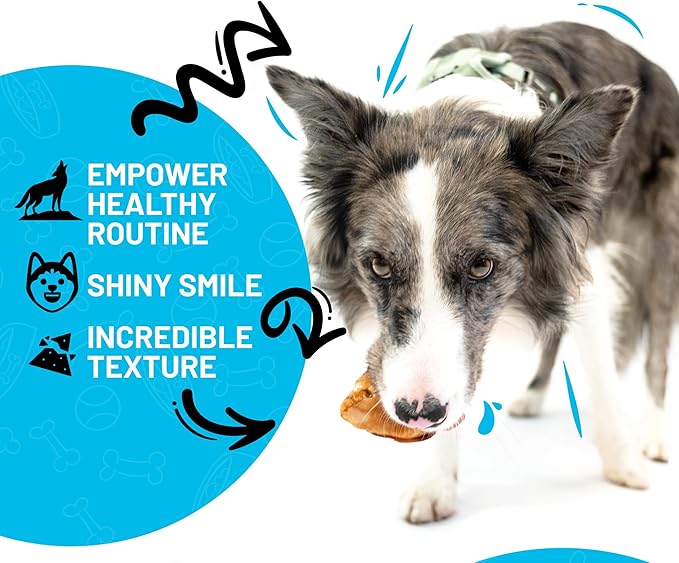 Sitka Farms Premium Smoked Beef Knee Caps - 12 Count - Natural Long Lasting Dog Treats - Low Fat High Protein Dog Bones