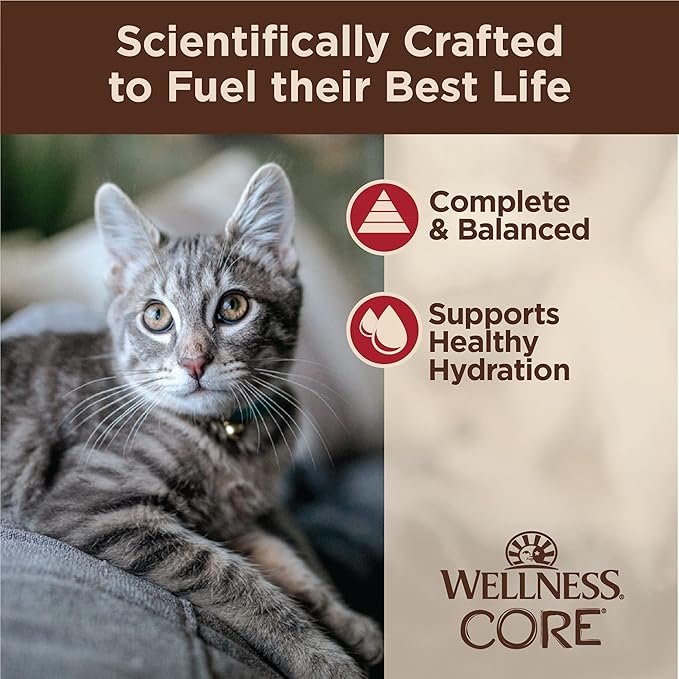 Wellness CORE Tiny Tasters Minced Adult Wet Cat Food, Natural, Protein-Rich, Grain Free, 1.75-Ounce Pouch, 12 Pack, (Chicken & Beef)
