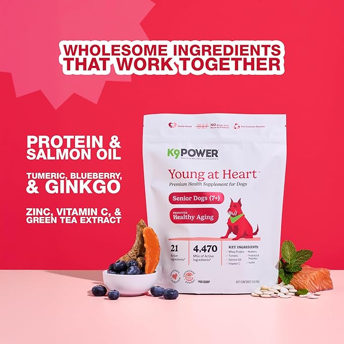K9 Power Young at Heart Senior Dog Multivitamin 1 lb – Advanced Supplement for Seniors – Supports Brain, Heart, Vision, Joint Health, and Mobility