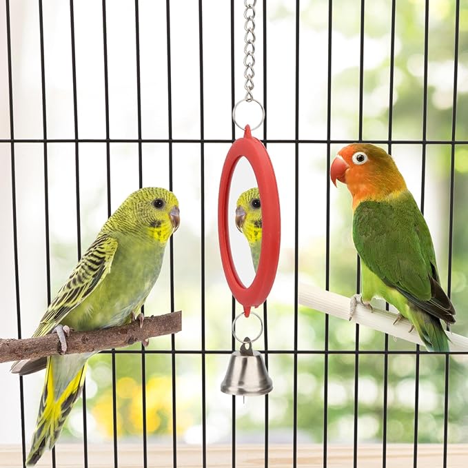 Hypeety Pet Bird Mirror with Bell Interactive Parrot Toy Bird Cage Mirror for Cockatiel Parakeets Canaries Budgie (RED)