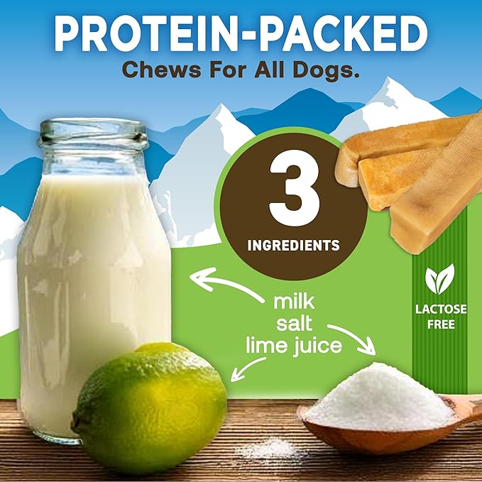 EcoKind Premium Gold Yak Cheese Himalayan Dog Chews, Dog Treats Large Breed, All Natural, High Protein, for Aggressive Chewers, Large - 1 Chew