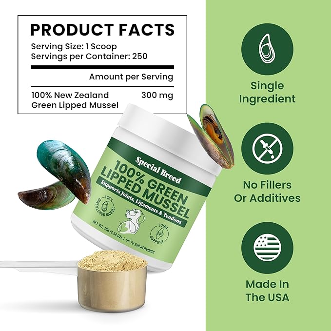 Green Lipped Mussel Powder for Dogs & Cats - 100% New Zealand Green Lipped Mussels - Natural Hip & Joint Supplement for Joints, Tendons, Ligaments, Muscles - 75 Grams - Up to 250 Servings