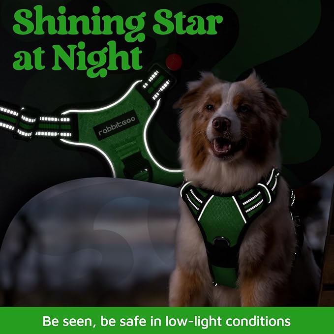 rabbitgoo Dog Harness for Large Dogs, No Pull Pet Vest with 3 Buckles, Adjustable Soft Padded Pet Harness with Easy Control Handle and Reflective Strips, Green, L
