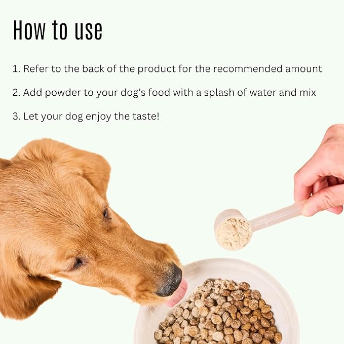 K9 Power Digest Forte for Dogs 1lb – Digestive, Immunity & Calming Support - Enhances Nutrient Absorption - Balances Gut Flora - Eases Discomfort & Boost Mood