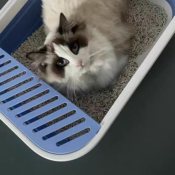 Senior Cat Litter Boxes, Collapsible Open Low Entry Cat Litter Pan with Scoop Travel Kitty Potty Pan Foldable Pet Toilet for Sick Disabled Older Elderly Cats 20.9x15.7x5.7 inch